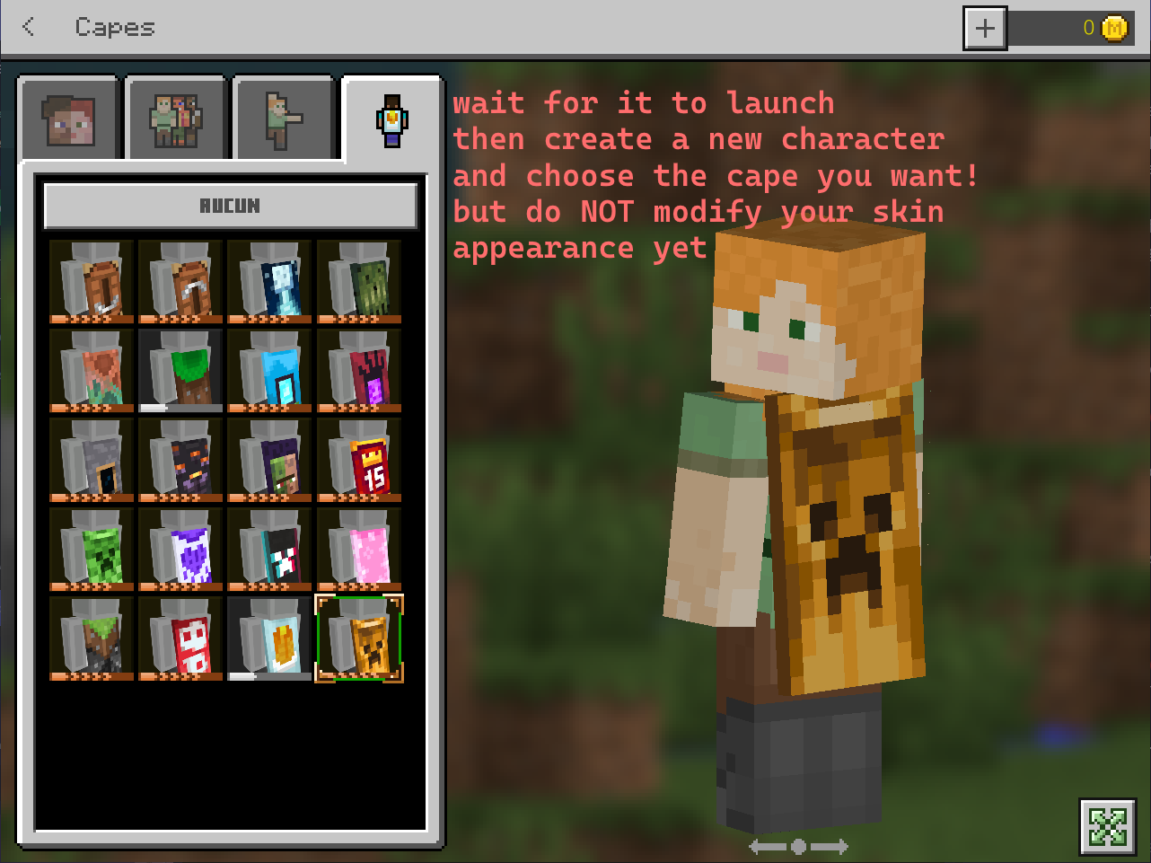 Selecting a cape in the character editor