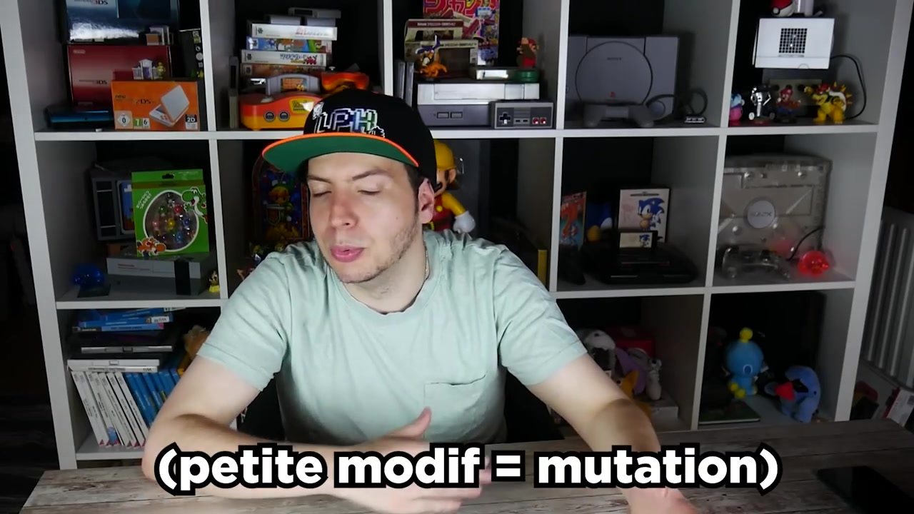 Laupok explains mutations with the text "(small modif = mutation)" overlaid